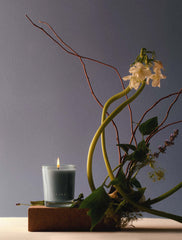 Cassis + Rosemary | Focus Candle 2.2oz