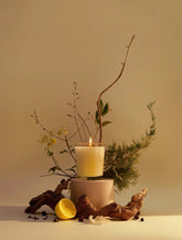 Cypress + Mint | Recover Candle 2.2oz