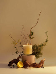 Cypress + Mint | Recover Candle 2.2oz