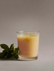 Cypress + Mint | Recover Candle 2.2oz