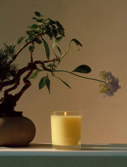 Cypress + Mint | Recover Candle 2.2oz