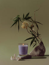 Sandalwood + Hashish | Sleep Candle 2.2oz