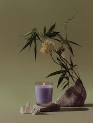 Sandalwood + Hashish | Sleep Candle 2.2oz