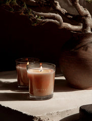 Bergamot + Sativa | Uplift Candle 2.2oz